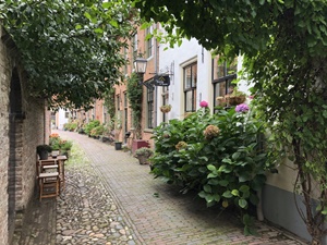 Betuwe2